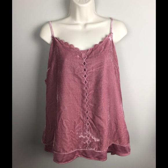 Daniel Rainn Tops - NWT Stitch Fix Daniel Rainn Pink Velvet Top